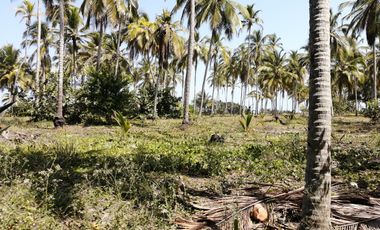 Lote de playa una hectárea mendihuaca parque tayrona