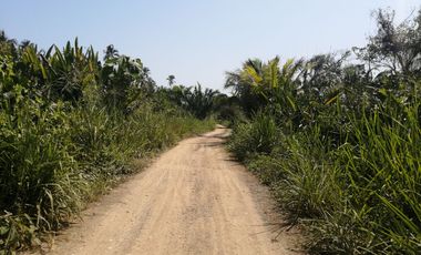 Lote de playa una hectárea mendihuaca parque tayrona