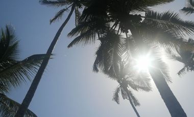 Lote de playa una hectárea mendihuaca parque tayrona