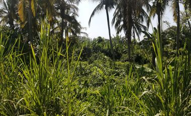 Lote de playa una hectárea mendihuaca parque tayrona