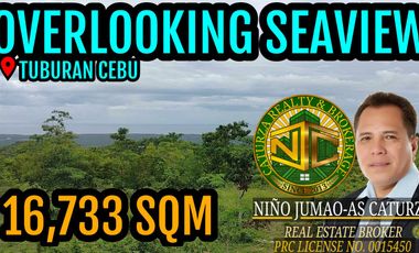 Overlooking Seaview Lot For Sale Tuburan Cebu 16,733 Sqm 150/Sqm