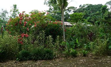 Arriendo una hermosa hostería 2 hectáreas, Puerto Misahualli