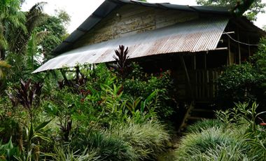 Arriendo una hermosa hostería 2 hectáreas, Puerto Misahualli