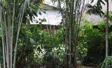 Arriendo una hermosa hostería 2 hectáreas, Puerto Misahualli