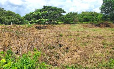3,246 sqm  Vacant Residential Lot in Mulawin Tanza Cavite