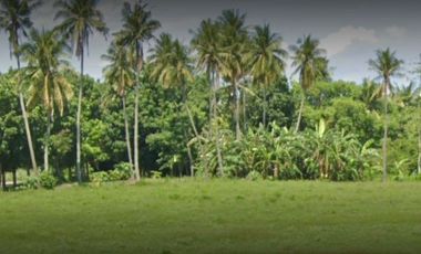 Lot for Sale at Lemery Batangas Farm Commercial Residential Lot Clean Title