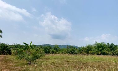 60 rai with a mountain view next to a canal land for sale near Natai Beach in Takua Tung, Phang Nga