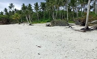14,375 sqm Beachfront Property For Sale at Pilar, Siargao Island