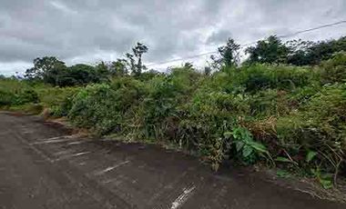 304sqm vacant lot for sale in Hellenic Spring Resort Village Barangay Balite II Silang Cavite
