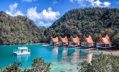 Club Tara Island Resort (Hotel and Resort for sale)