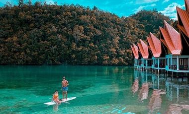 Club Tara Island Resort (Hotel and Resort for sale)