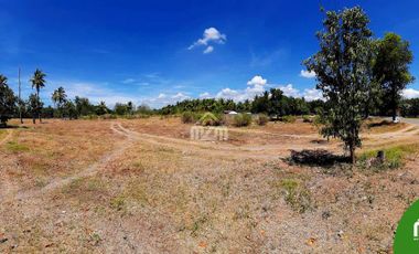 OVERLOOKING RESIDENTIAL LOT FOR SALE IN CARCAR CEBU CITY
