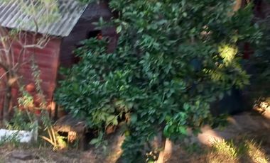 Venta Casa quinta en San Benito
