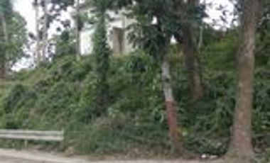 Affordable 155 sq.m Lot for Sale in Greenwoods Subdivision Cebu City