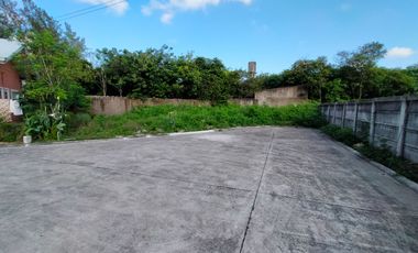 207 sqm. Subdivision Lot (corner lot) For Sale in Alegria Palms Dos Subdivision, Gabi, Cordova, Cebu