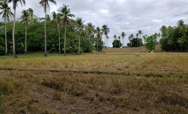 FOR SALE: Agricultural Land with a 3 BR Newly Built House in Bansud, Oriental Mindoro