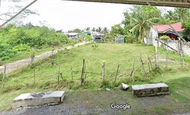 Lot for Sale located in Montana, Baclayon