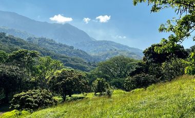 VENTA DE LOTE HACIENDA SAN JOSE L27, SAN JERONIMO ANTIOQUIA