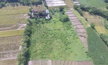 Jual tanah untuk gudang pabrik perumahan di tasikmadu karanganyar jawa tengah