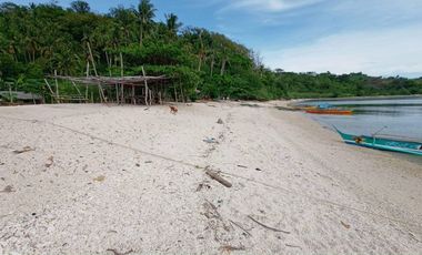 For Sale Beach / Island in Magayad, Oriental Mindoro - CRS0147