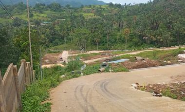 MOUNTAIN VIEW LOT FOR INSTALLMENT IN BUSAY CEBU CITY NEAR JY MALL