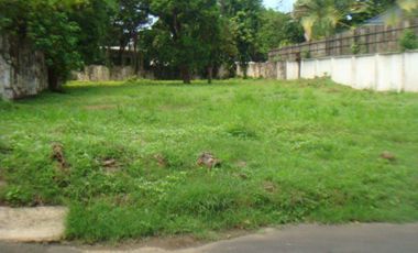 Vacant Lot For Sale in UPS 2 Subdivision Paranaque City
