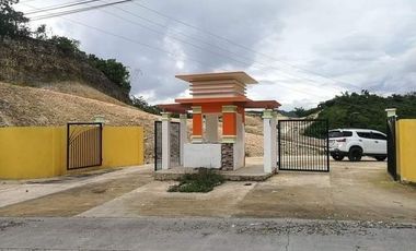 AFFORDABLE SUBDIVIDED LOT FOR SALE IN CONSOLACION, CEBU with LTS