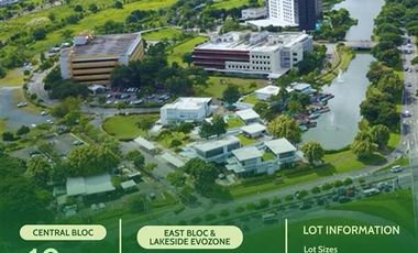Ayala Land Commercial Properties for Sale