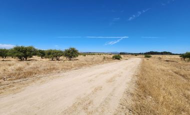 Se venden Parcelas sector Nilahue Cornejo, Pumanque