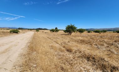 Se venden Parcelas sector Nilahue Cornejo, Pumanque