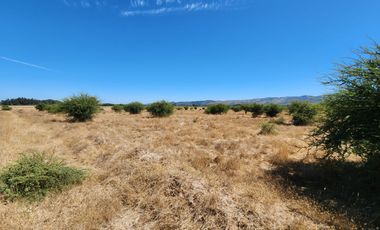 Se venden Parcelas sector Nilahue Cornejo, Pumanque