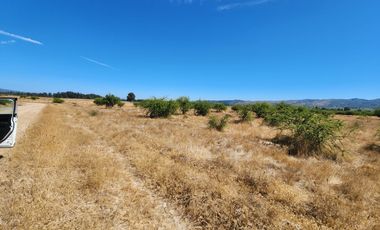Se venden Parcelas sector Nilahue Cornejo, Pumanque