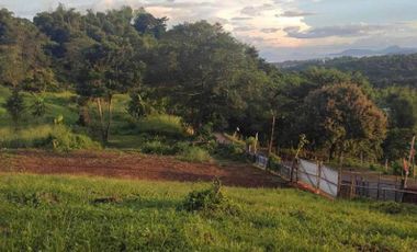AFFORDABLE RESIDENTIAL FARM LOT FOR SALE IN MORONG RIZAL