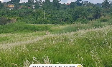3.3 Hectare Land in Tagaytay Tolentino West for Sale