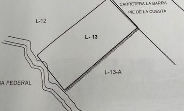 EN VENTA TERRENO EN ACAPULCO PIE DE LA CUESTA CON FRENTE DE PLAYA Y CARRETERA