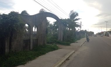EN VENTA TERRENO EN ACAPULCO PIE DE LA CUESTA CON FRENTE DE PLAYA Y CARRETERA