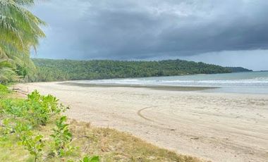 79mtrs Frontage White Sand Beach Lot For Sale in Aborlan, Palawan