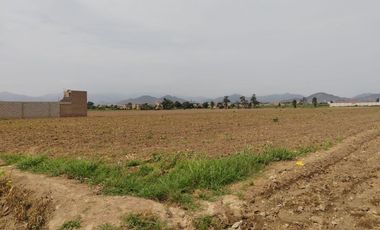 TERRENO DE 1 HECTAREA EXCELENTE UBICACIÓN - HUARAL