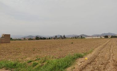 TERRENO DE 1 HECTAREA EXCELENTE UBICACIÓN - HUARAL