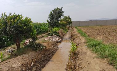 TERRENO DE 1 HECTAREA EXCELENTE UBICACIÓN - HUARAL