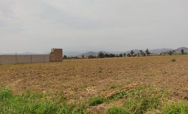TERRENO DE 1 HECTAREA EXCELENTE UBICACIÓN - HUARAL