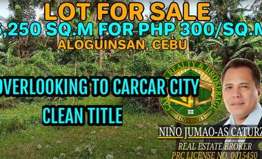 Aloguinsan Cebu 6,250 Sq.m for ₱300/Sq.m with Clean Title