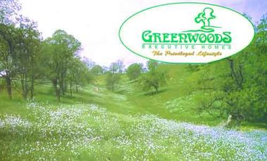 Residential Lots 200 to 300 sqm in Greenwoods Executive Homes (Great Promos 30% discounts)
