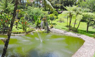 Gorgeous One Level Home with Private Lake in Heart of LLanogrande