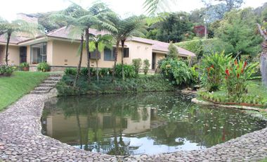 Gorgeous One Level Home with Private Lake in Heart of LLanogrande