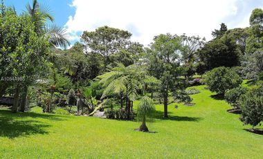 Gorgeous One Level Home with Private Lake in Heart of LLanogrande