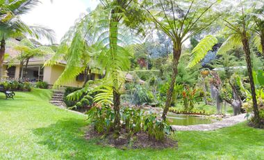 Gorgeous One Level Home with Private Lake in Heart of LLanogrande