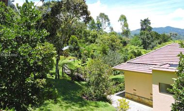 Gorgeous One Level Home with Private Lake in Heart of LLanogrande