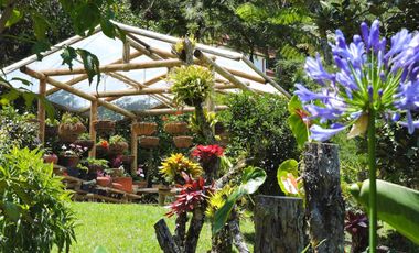 Gorgeous One Level Home with Private Lake in Heart of LLanogrande