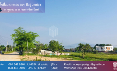 Property id 099LS Land for sale near Baan Tawai 80 sq.wa., Khun Kong Subdistrict, Hang Dong District, Chiang Mai Province.